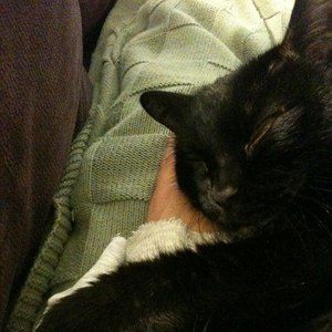 Meet your Posher, Jodi